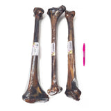 Three rawhide bones with plastic wrap and a pen for scale on a white background