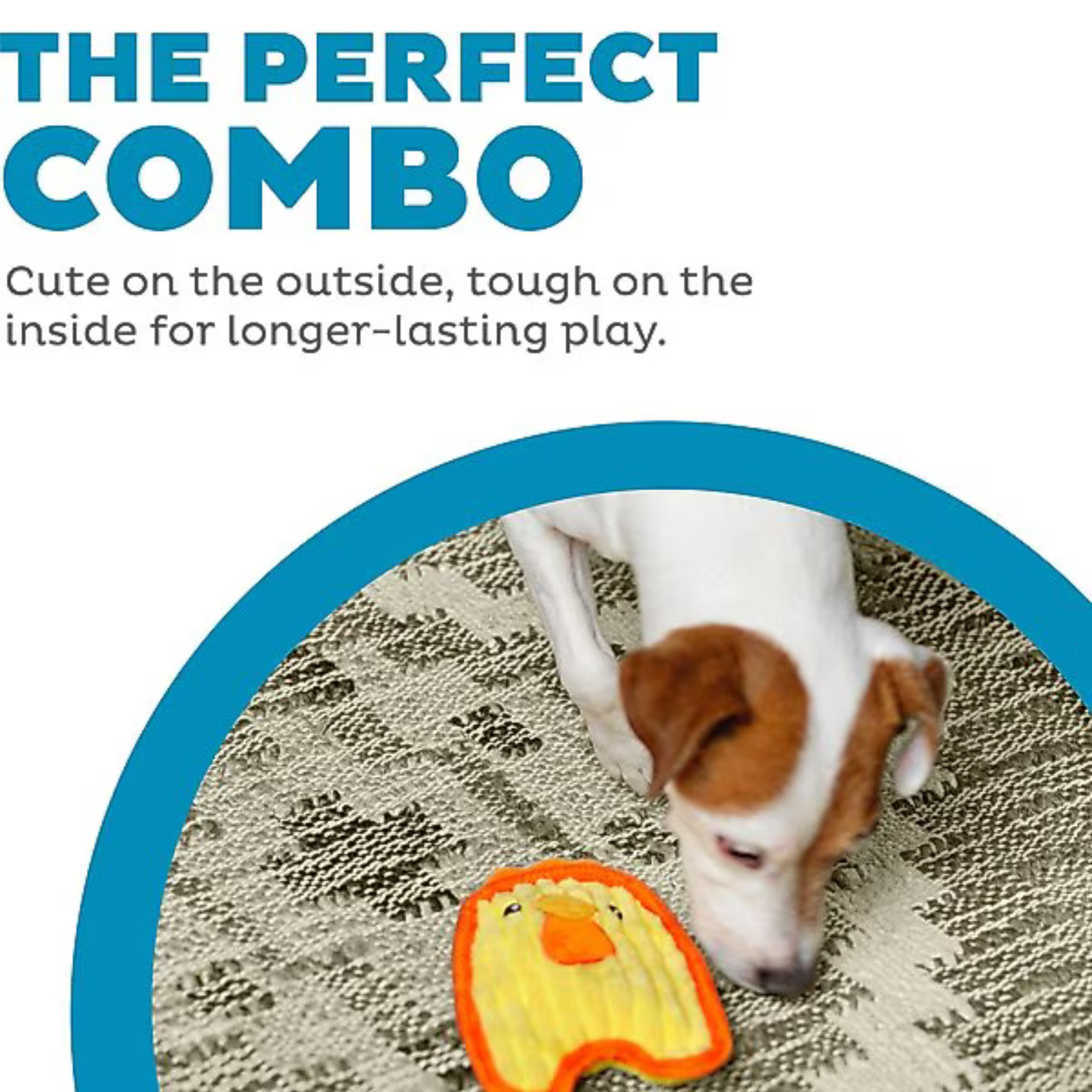 Dog playing with a toy, text 'The Perfect Combo' on a light gray background