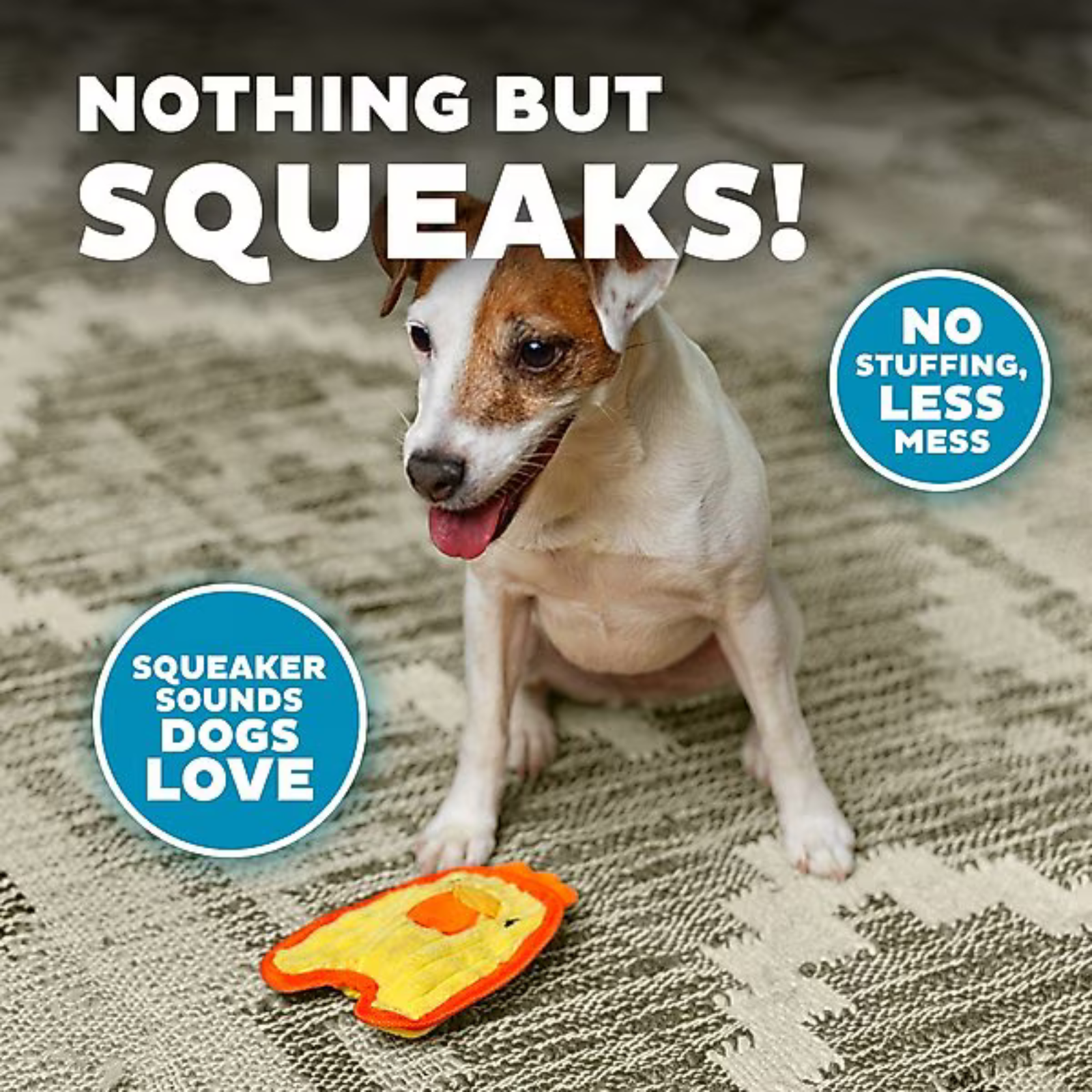 Dog playing with a squeaky toy on a textured surface, with text highlighting the product's features.