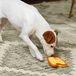 Dog playing with a toy on a textured surface