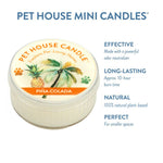 Pet House Candle Pina Colada scented candle with product details on a white background