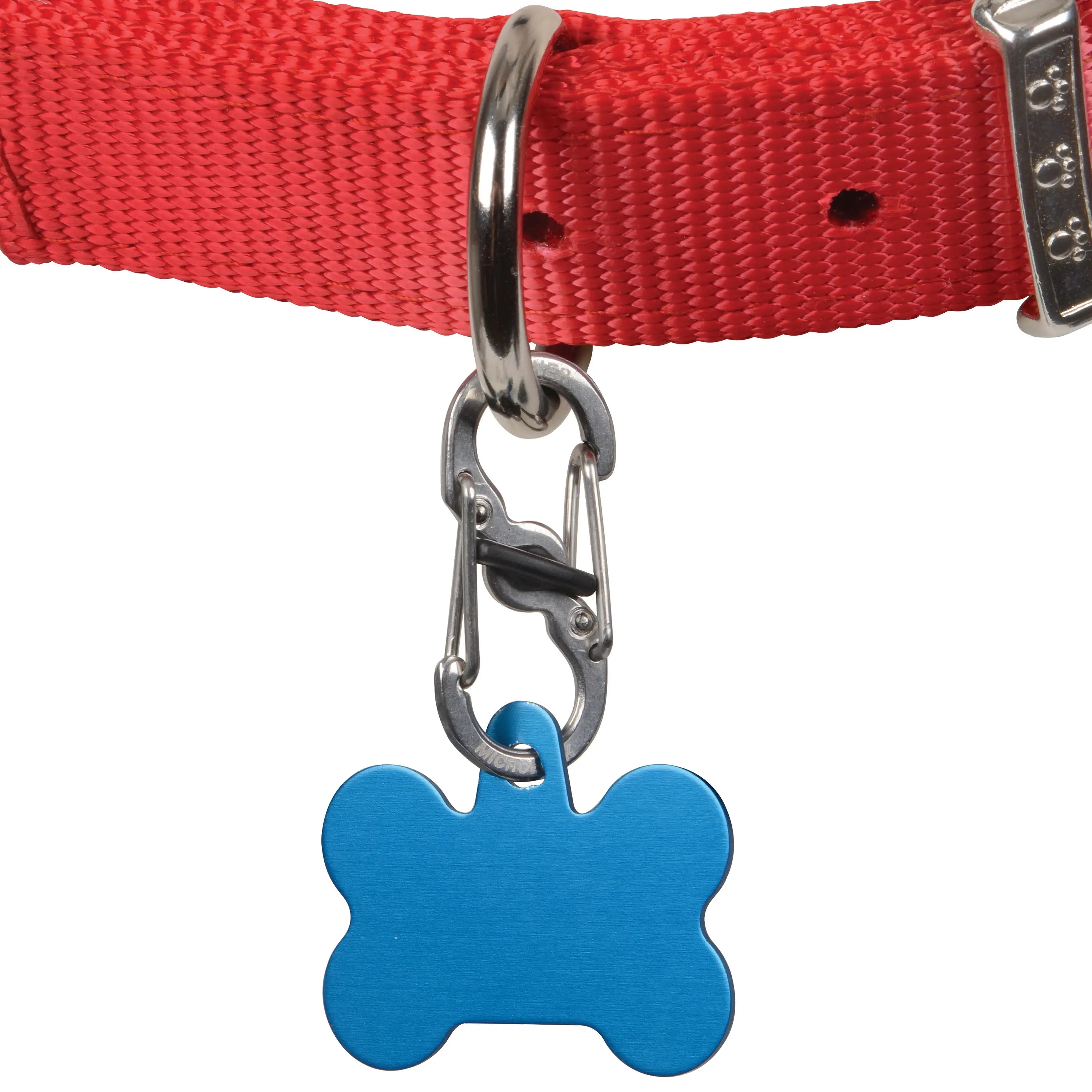 Red dog collar with a blue bone-shaped tag on a white background