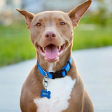 Nite Ize S-Biner Tag Lock Stainless Steel