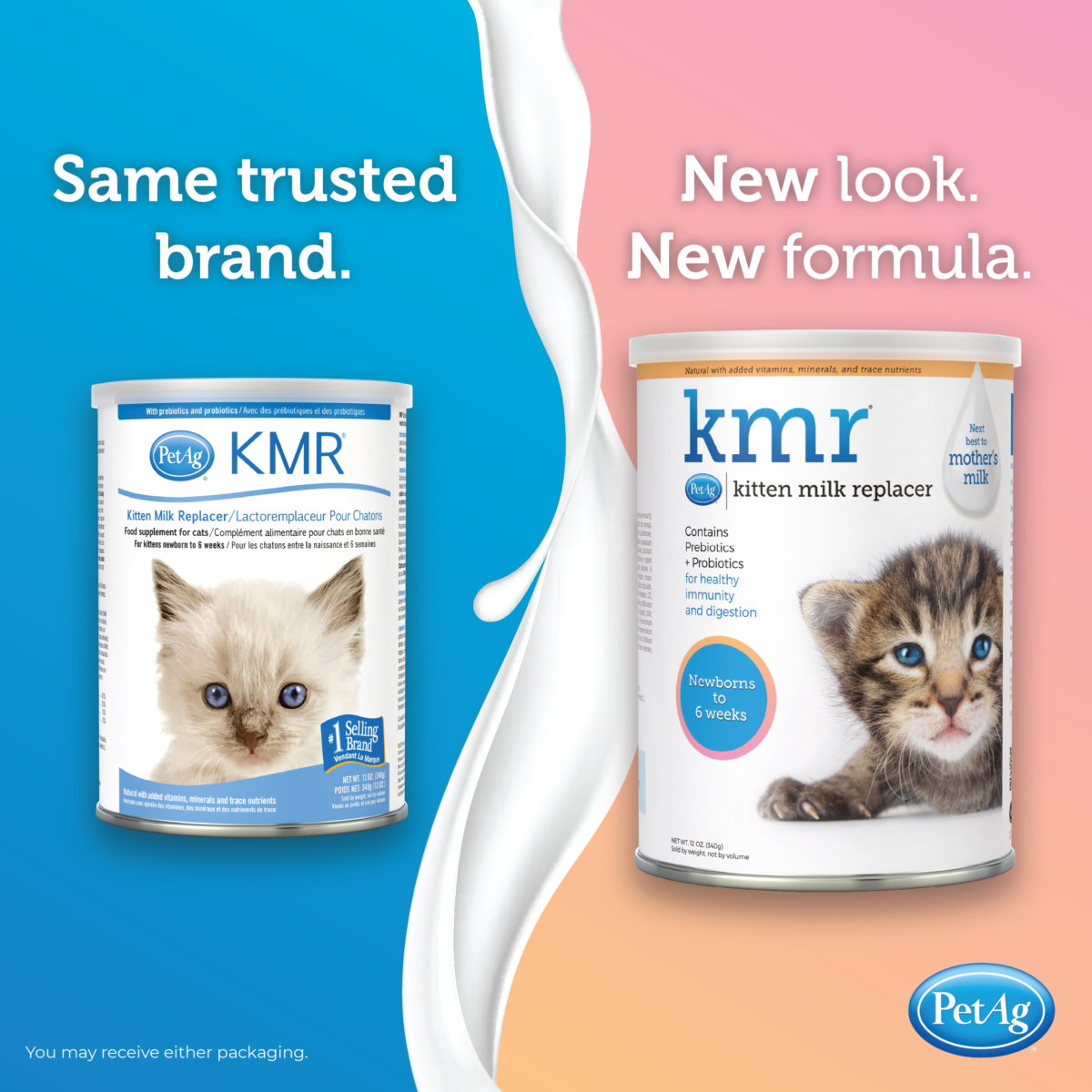 Drink Milk Baby Formula Milk For Kittens Can Kittens Drink Milk? PetMD