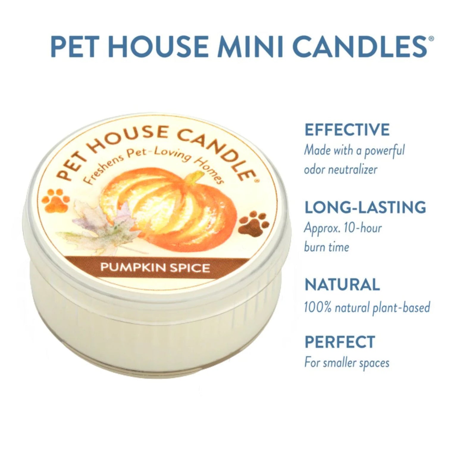 Pet House Mini Candle in Pumpkin Spice flavor with product details on a white background
