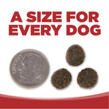 PureVita GF Beef Lentil Dog