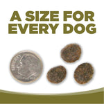 Three dog treats next to a quarter on a white background with text 'A Size for Every Dog'.