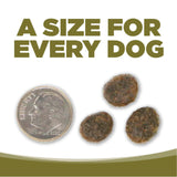 Three dog treats next to a quarter on a white background with text 'A Size for Every Dog'.
