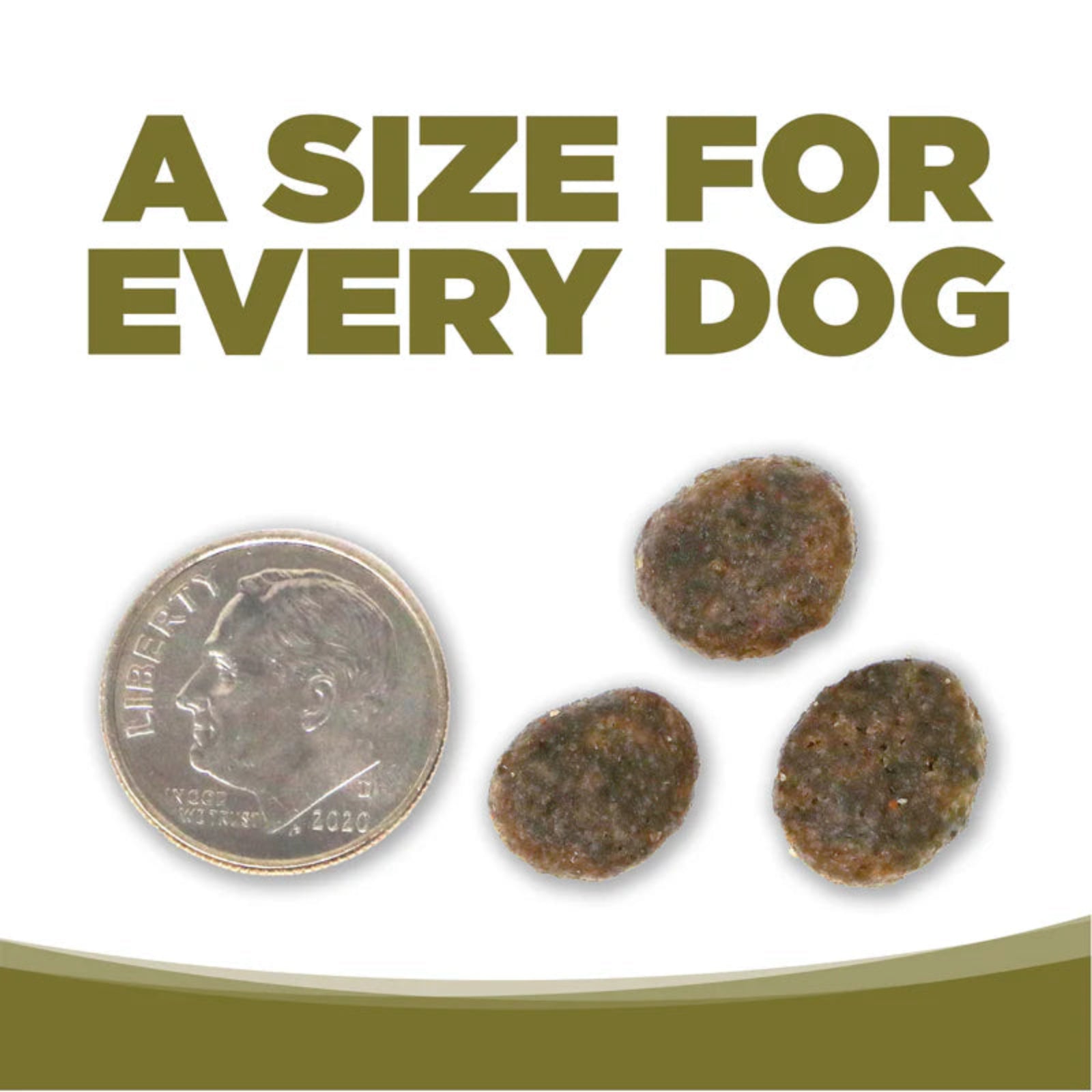 Three dog treats next to a quarter on a white background with text 'A Size for Every Dog'.