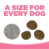 PureVita GF Salmon Pea Dog