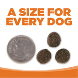 PureVita GF Venison Lentil Dog