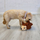 Kong Layerz Forage Hedgehog Medium