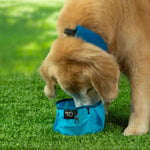 Dog drinking from a blue portable dog water bowl on grass