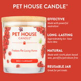 Pet House Candle with red currant flavor on a red background