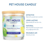 Pet House Candle with sea salt and citrus scent on a white background