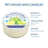 Pet House Candle with sea salt and citrus scent on a white background