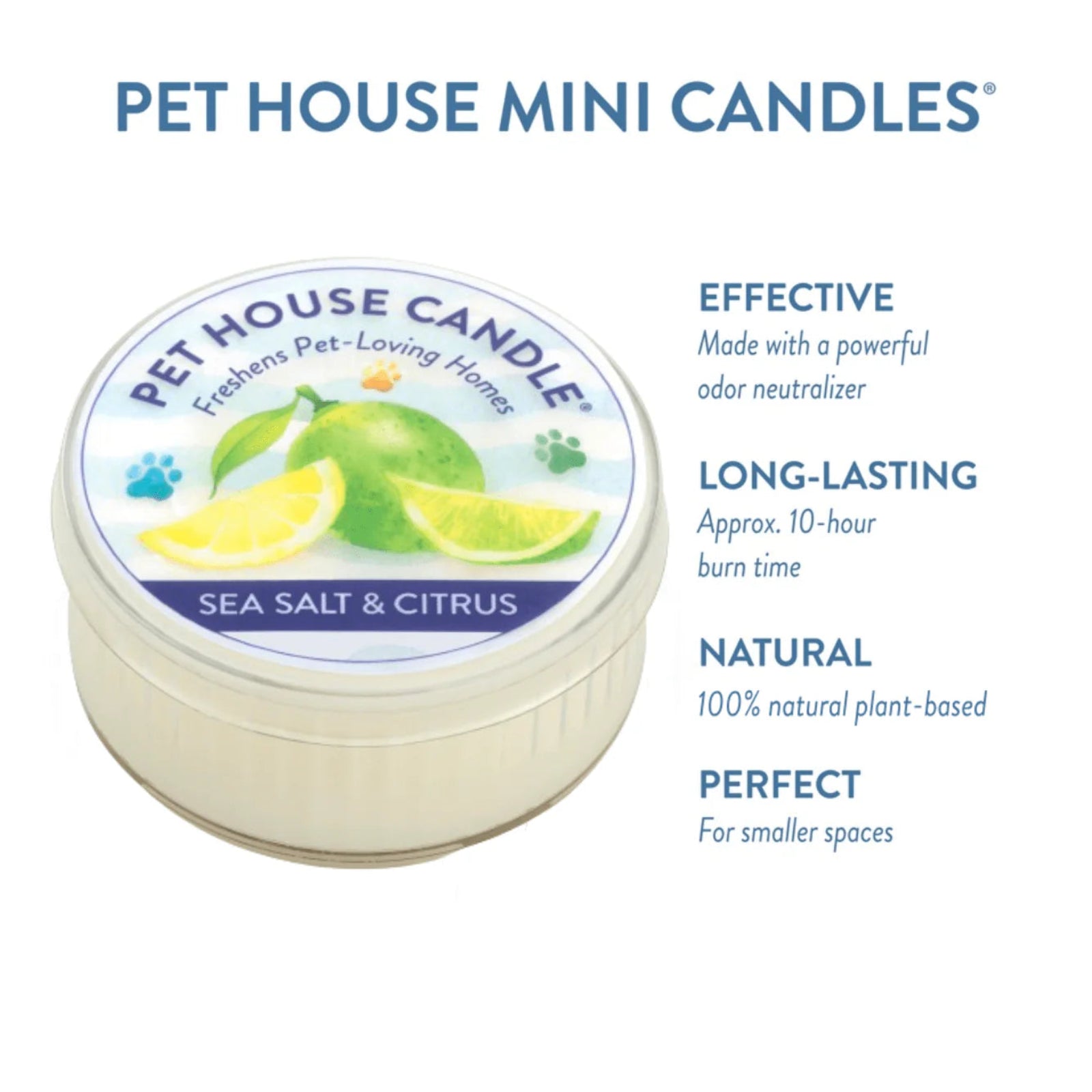 Pet House Candle with sea salt and citrus scent on a white background