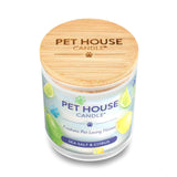 Pet House Candle with sea salt and citrus scent on a white background