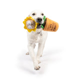 Huxley & Kent Seek N Treat Sunflower Pawt