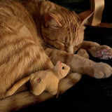 HuggleHounds Wee Squooshie & Squeaky Mice