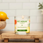 Pet House Candle on a wooden stand with fruits and flowers in the background