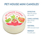 Pet House Mini Candle in Tropical Fruit flavor with product details on a white background