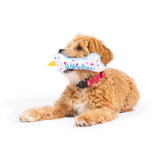 Huxley & Kent Tiny Tuff It's My Barkday Bone