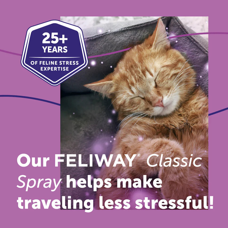 Sleeping orange kitten with FELIWAY advertisement on a purple background