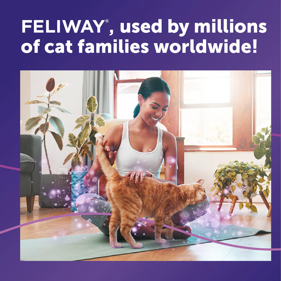Woman petting a cat on a yoga mat with promotional text for FELIWAY