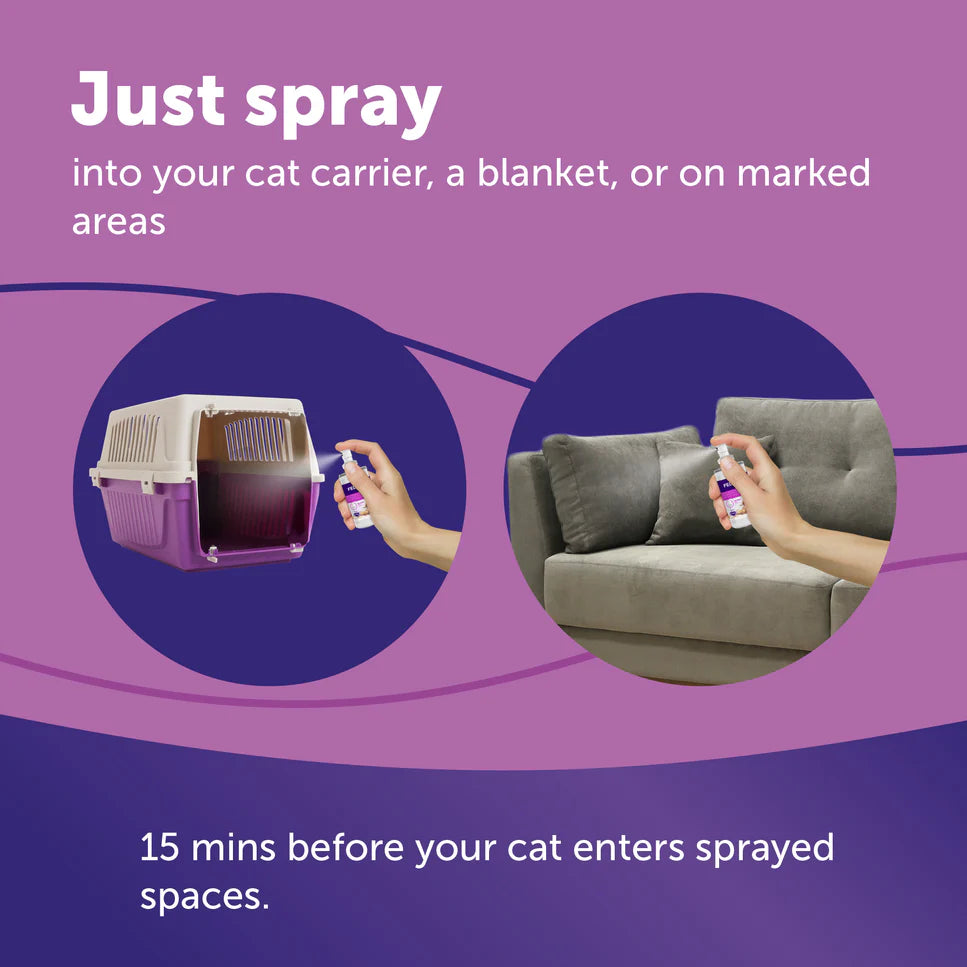Advertisement for a spray product with images of a carrier and couch, and text on a purple background.