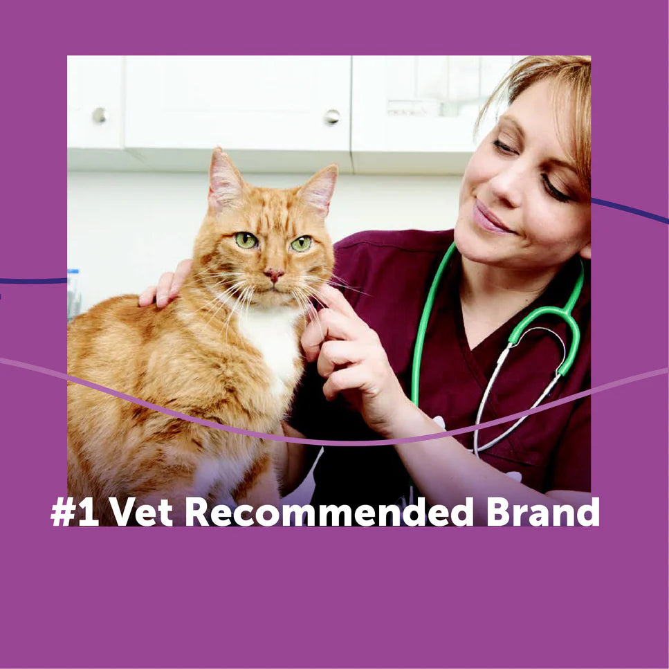 Veterinarian with a cat on a purple background with text about a vet recommended brand.