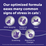 Advertisement for a cat supplement with icons and text on a purple background
