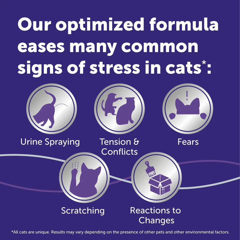 Advertisement for a cat supplement with icons and text on a purple background