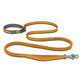 Ruffwear Roamer Leash Yellow Snow