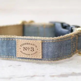 Finnegan's Chambray 1inch Collar