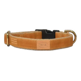 Finnegan's Golden Waxed 3/4 Inch Collar