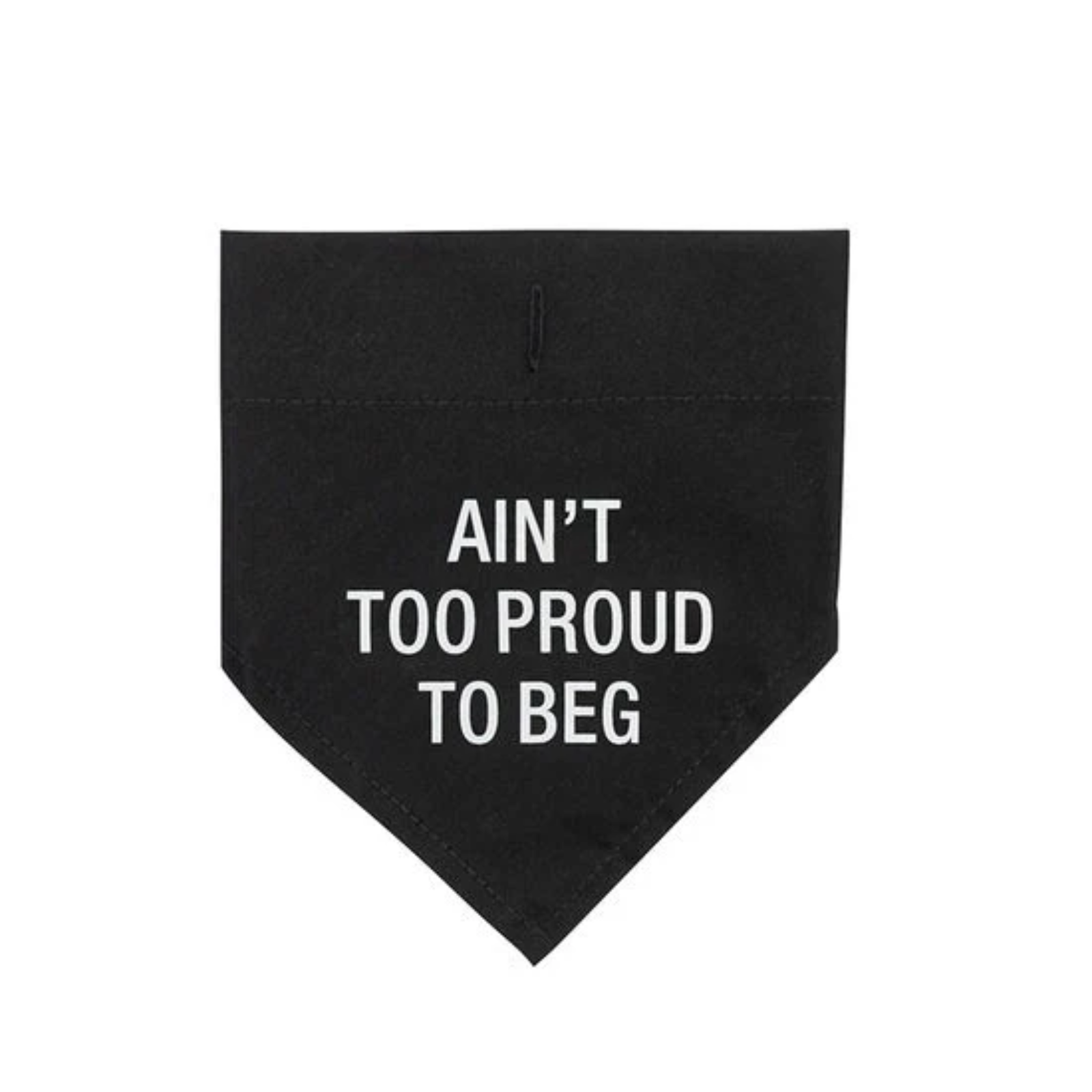 A black pet bandana with white text reading 'AIN'T TOO PROUD TO BEG' on a plain white background.