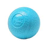 West Paw Boundr Single