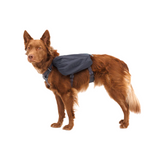 Ruffwear Front Range Day Pack