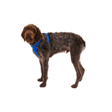 Ruffwear Front Range Harness Blue Pool