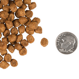 Fromm Gold Cat Indoor