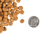 Fromm Gold Cat Adult Healthy Weight