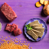 Fromm 4 Star Cat Cans Beef Venison Pate 5.5z