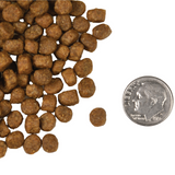 Fromm 4 Star Cat Salmon A La Veg