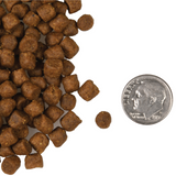 Fromm 4 Star Cat GF Surf and Turf