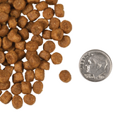 Fromm 4 Star Cat Chicken A La Veg