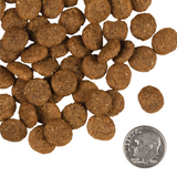 Fromm Gold K9 Senior