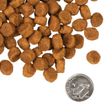 Fromm 4 Star K9 GF Pork and Peas