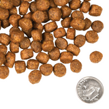 Fromm 4 Star K9 GF Beef Frittata