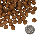 Fromm 4 Star K9 GF Salmon Tunalini